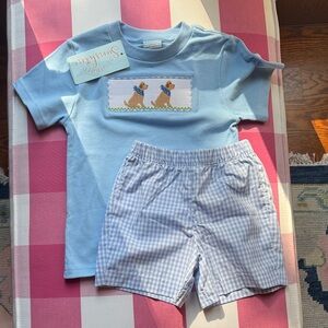 Blue Shirt and Gingham Shorts Set